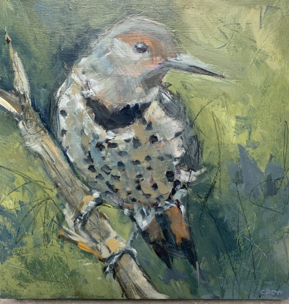 Northern Flicker (Deborah Crow-Repke)