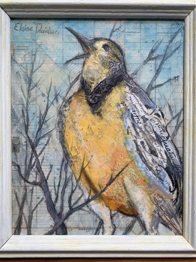 Meadowlark (Elaine Davidson)