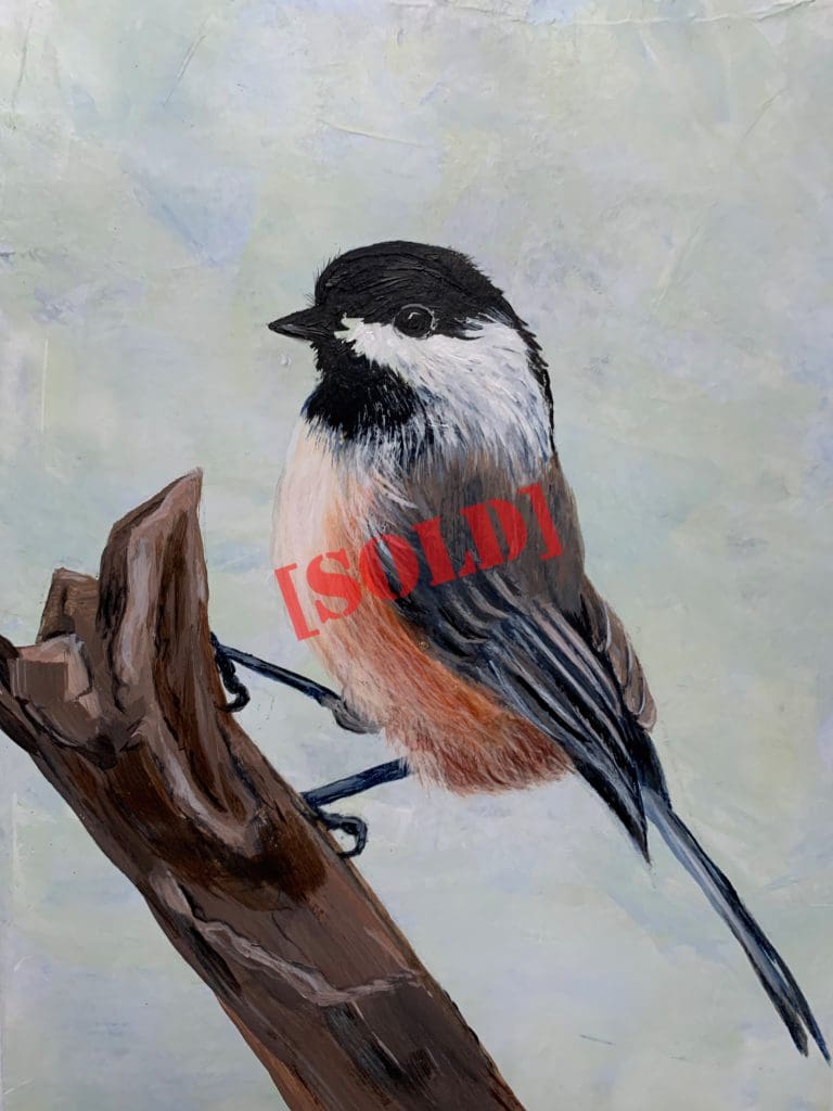 Black-capped Chickadee #1 (Fran Turner)