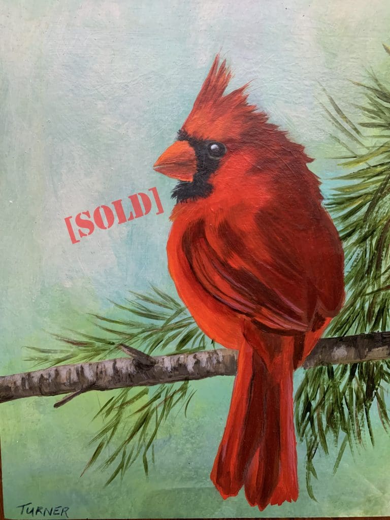Northern Cardinal (Fran Turner)