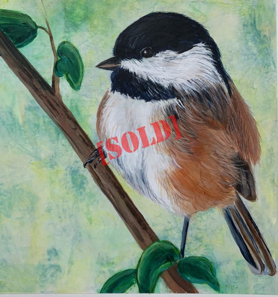 Black-capped Chickadee #2 (Fran Turner)