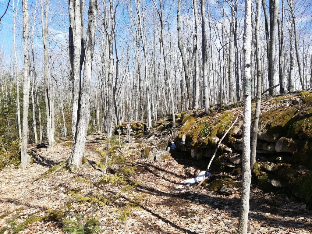 qrcode trail photo 1