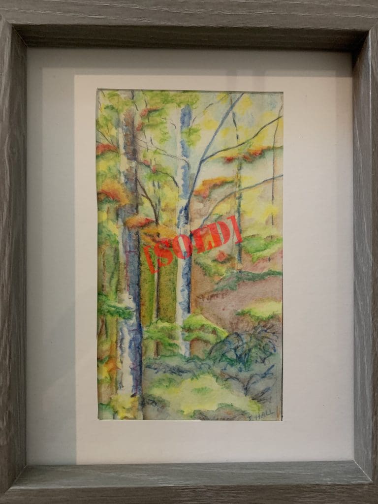 Bruce Trail - Hope Bay (Joan Hall)