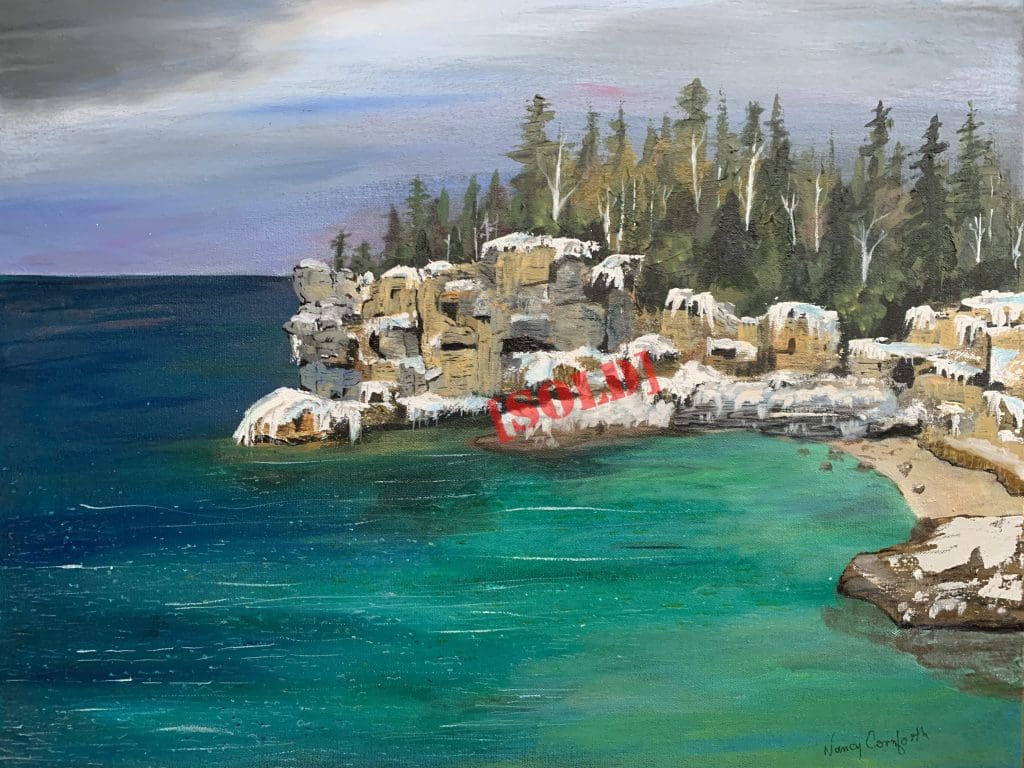 Winter at Indian Head Cove (Nancy Cornforth)