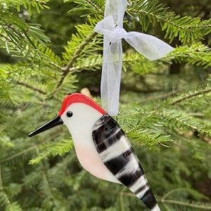 2024 Bird Ornament - Red Bellied Woodpecker (Paapaase)