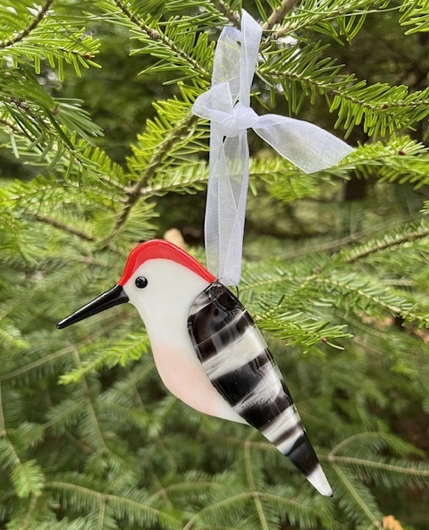 2024 Bird Ornament - Red Bellied Woodpecker (Paapaase)