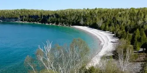 Driftwood Cove