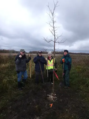 Specimen Trees: 100 Trees for our 100th Anniversary