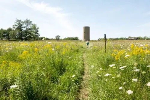 Vanishing Stream Nature Reserve